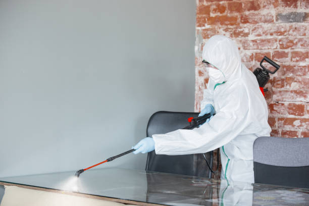 Mold Removal for HVAC Installations in Fowler, CA