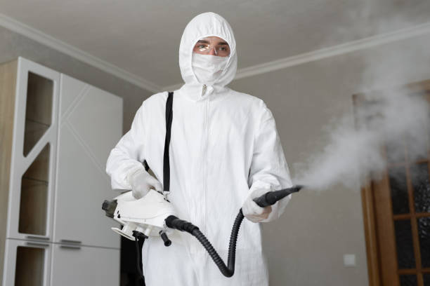 Reliable Fowler, CA Mold Removal & Remediation Solutions